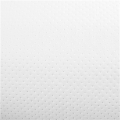 Image ESSUIE-MAINS "MINI-BARRIL" ECOLABEL 1 PLI - 300 FEUILLES  22 G/M2 Ø 13x20 CM BLANC OUATE (12 UNITÉ) #3
