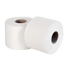 HYGIENIQUE SEMI-INDUSTRIEL ECOLABEL 2 PLIS - 73 M 17 G/M2 Ø12,5x9,5 CM BLANC OUATE (30 UNITÉ)