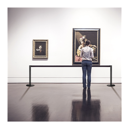 COLONNES MOBILES AVEC RUBAN RETRACTIBLES  Ø 36x104 CM NOIR ALUMINIUM (2 UNITÉ)