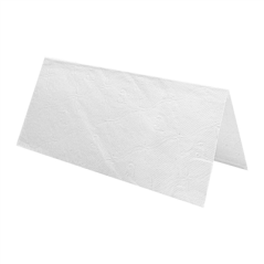 Image SERVIETTES ESSUIE-MAINS 2 PLIS - PLIAGE EN "Z"  22x38 CM BLANC OUATE (2500 UNITÉ) #1