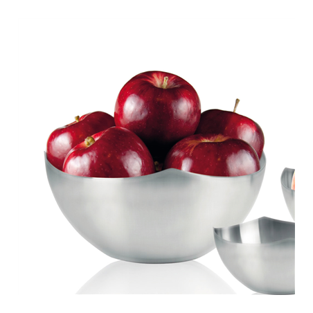 Image BOL POUR PAIN/FRUIT  Ø 24x10 CM ARGENTE INOX (1 UNITÉ) #1