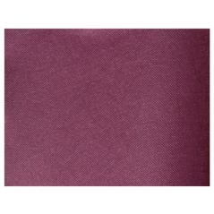 Image SETS DE TABLE 'SPUNBOND' 60 G/M2 30x40 CM VIOLET PP (800 UNITÉ) #1