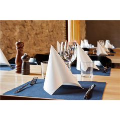 Image SETS DE TABLE 'SPUNBOND' 60 G/M2 30x40 CM BLEU MARINE PP (800 UNITÉ) #3