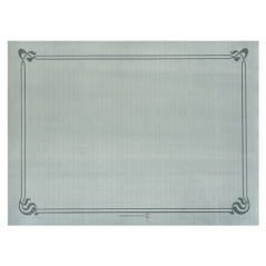 Image SETS DE TABLE 48 G/M2 31x43 CM GRIS CELLULOSE (2000 UNITÉ) #1