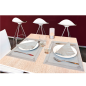 Image SETS DE TABLE  48 G/M2 31x43 CM GRIS CELLULOSE (2000 UNITÉ) #2