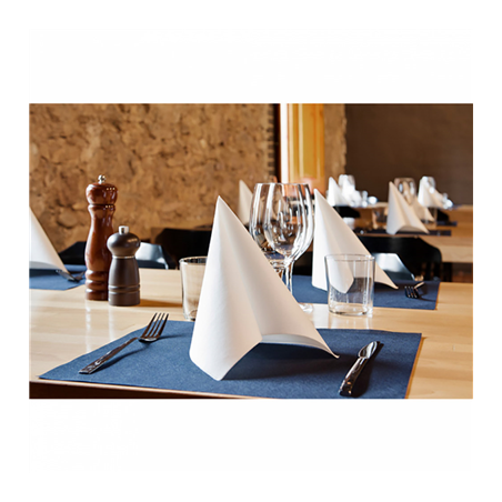 SERVIETTES ECOLABEL 'DOUBLE POINT' 18 G/M2 33x33 CM BLANC OUATE (1200 UNITÉ)