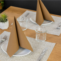 Image SERVIETTES ECOLABEL 'DOUBLE POINT' 18 G/M2 33x33 CM HAVANE OUATE (1200 UNITÉ) #3