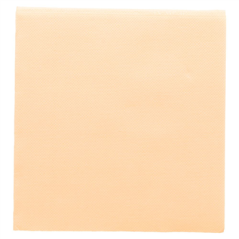 Image SERVIETTES ECOLABEL 'DOUBLE POINT' 18 G/M2 33x33 CM IVOIRE OUATE (1200 UNITÉ) #1