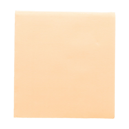 Image SERVIETTES ECOLABEL 'DOUBLE POINT' 18 G/M2 33x33 CM IVOIRE OUATE (1200 UNITÉ) #1