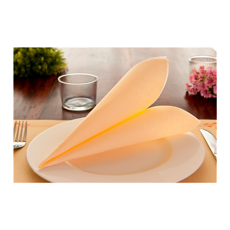 SERVIETTES ECOLABEL 'DOUBLE POINT' 18 G/M2 33x33 CM IVOIRE OUATE (1200 UNITÉ)