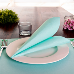 Image SERVIETTES ECOLABEL 'DOUBLE POINT' 18 G/M2 33x33 CM VERT D'EAU OUATE (1200 UNITÉ) #3