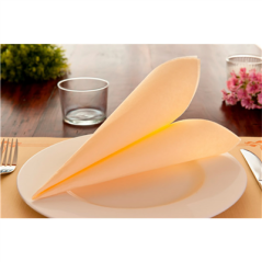 SERVIETTES ECOLABEL 'DOUBLE POINT' 18 G/M2 39x39 CM IVOIRE OUATE (1200 UNITÉ)