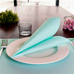 Image SERVIETTES ECOLABEL 'DOUBLE POINT' 18 G/M2 39x39 CM VERT D'EAU OUATE (1200 UNITÉ) #3