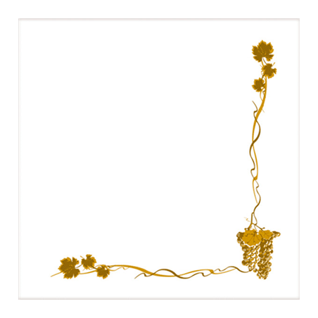 Image SERVIETTES ECOLABEL 'DOUBLE POINT - BACCHUS' 18 G/M2 40x40 CM BLANC OUATE (1200 UNITÉ) #1