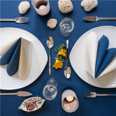 Image NAPPE EN ROULEAU  55 G/M2 1,20x50 M BLEU MARINE AIRLAID (1 UNITÉ) #3