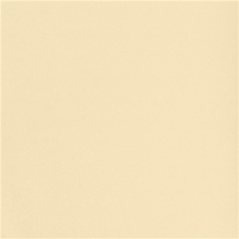 "TÊTE-À-TÊTE" PRÉ. 120CM (20 FEU.) 55 G/M2 0,40x24 M IVOIRE AIRLAID (6 UNITÉ)