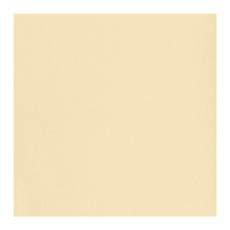 "TÊTE-À-TÊTE" PRÉ. 120CM (20 FEU.)  55 G/M2 0,40x24 M IVOIRE AIRLAID (6 UNITÉ)