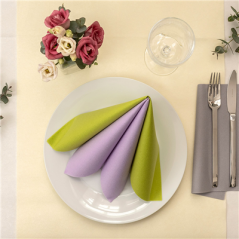 Image "TÊTE-À-TÊTE" PRÉ. 120CM (20 FEU.)  55 G/M2 0,40x24 M IVOIRE AIRLAID (6 UNITÉ) #3