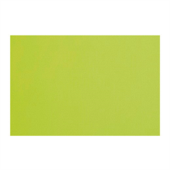 Image SETS DE TABLE 'SPUNBOND' 60 G/M2 30x40 CM LIME PP (800 UNITÉ) #1