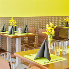 Image SETS DE TABLE 'SPUNBOND' 60 G/M2 30x40 CM LIME PP (800 UNITÉ) #4