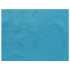 Image SETS DE TABLE 'SPUNBOND' 60 G/M2 30x40 CM TURQUOISE PP (800 UNITÉ) #1