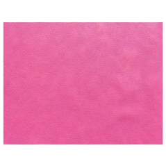 Image SETS DE TABLE 'SPUNBOND' 60 G/M2 30x40 CM FRAMBOISE PP (800 UNITÉ) #1