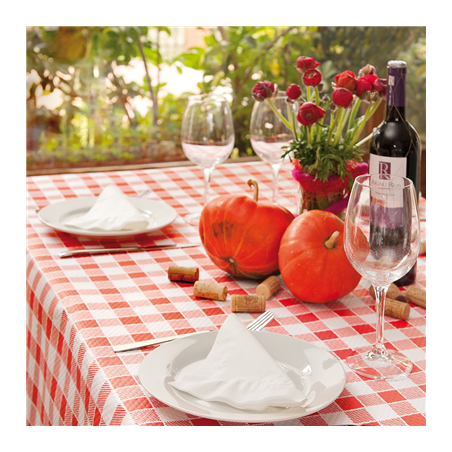 NAPPE EN ROULEAU 'ANETO - VICHY' 48 G/M2 1,20x100 M BLANC CELLULOSE (4 UNITÉ)