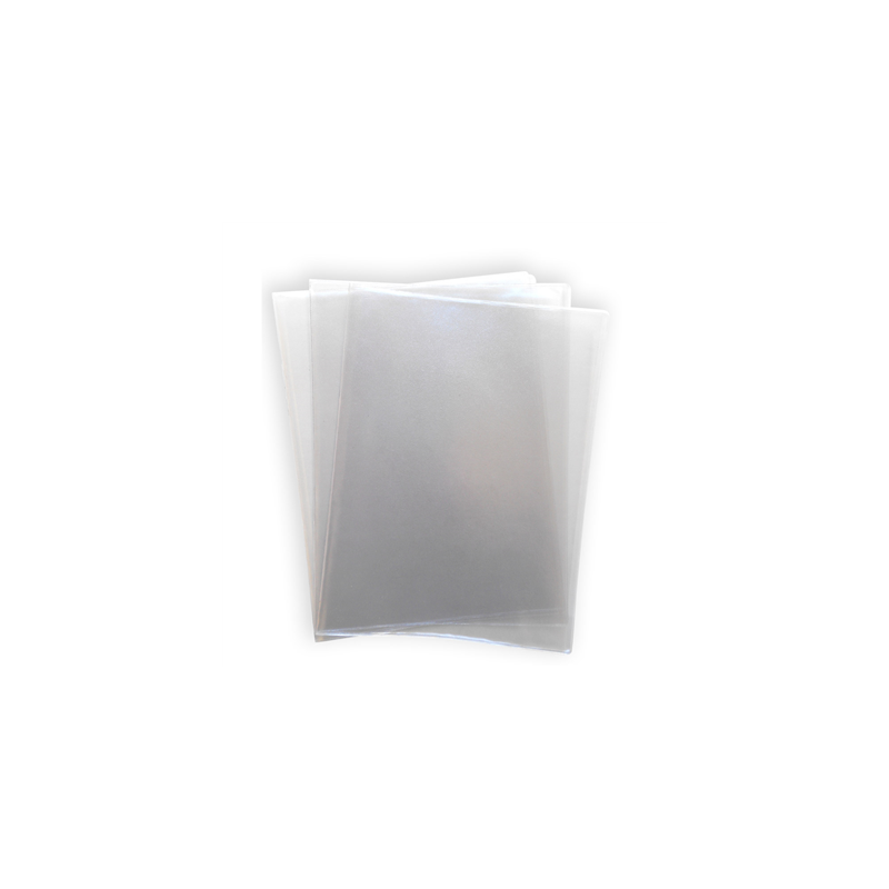 3 HOUSSES DOUBLES PORTE-MENUS 47,7x32 CM TRANSPARENT PVC (1 UNITÉ) 3 HOUSSES DOUBLES PORTE-MENUS 47,7x32 CM TRANSPARENT PVC (1 UNITÉ)
