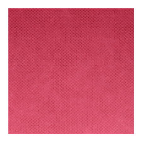 "TÊTE-À-TÊTE" PRÉ. 120 CM (40 FEU.) 'SPUNBOND' 60 G/M2 0,40x48 M FRAMBOISE PP (6 UNITÉ)