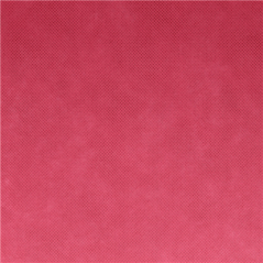 NAPPE PRÉ-DÉCOUPÉE 120 CM 'SPUNBOND' 60 G/M2 1,20x50,4 M FRAMBOISE PP (1 UNITÉ)