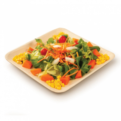 Image ASSIETTES CARRÉES 'ARECA'  18x18x1,5 CM NATUREL ARECA (200 UNITÉ) #4