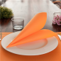 Image SERVIETTES ECOLABEL 'DOUBLE POINT' 18 G/M2 33x33 CM ORANGE OUATE (1200 UNITÉ) #3