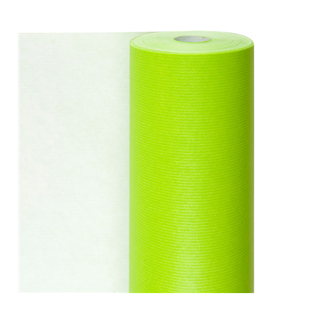 Image PAPIER CADEAUX COULEUR UNIE  60 G/M2 0,7x100 M VERT ANIS CELLULOSE (1 UNITÉ) #1