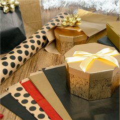 Image PAPIER CADEAUX - À POIS  60 G/M2 0,7x100 M NATUREL KRAFT VERGÉ (1 UNITÉ) #4