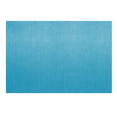 Image SETS DE TABLE 'DRY COTTON' 55 G/M2 30x40 CM TURQUOISE AIRLAID (800 UNITÉ) #1