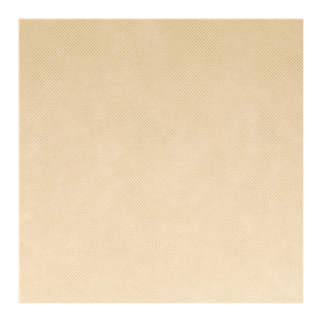 "TÊTE-À-TÊTE" PRÉ. 120 CM (40 FEU.) 'SPUNBOND' 60 G/M2 0,40x48 M CREME PP (6 UNITÉ)