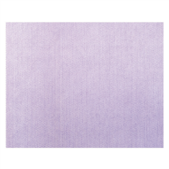 Image SETS DE TABLE 'DRY COTTON' 55 G/M2 30x40 CM PARME AIRLAID (800 UNITÉ) #1