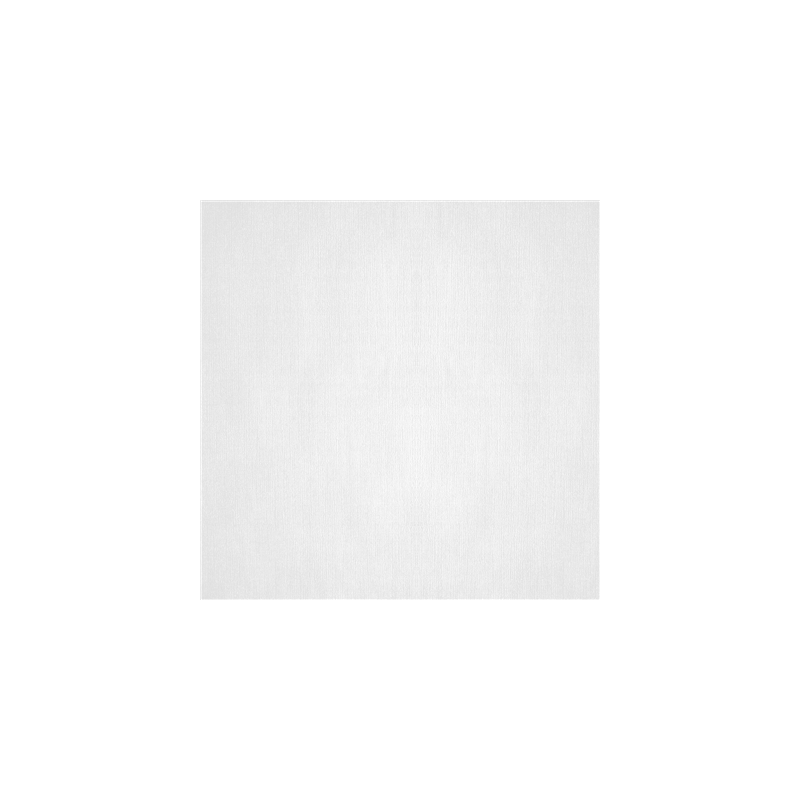 NAPPES PLIAGE M  48 G/M2 100x100 CM BLANC CELLULOSE (200 UNITÉ)