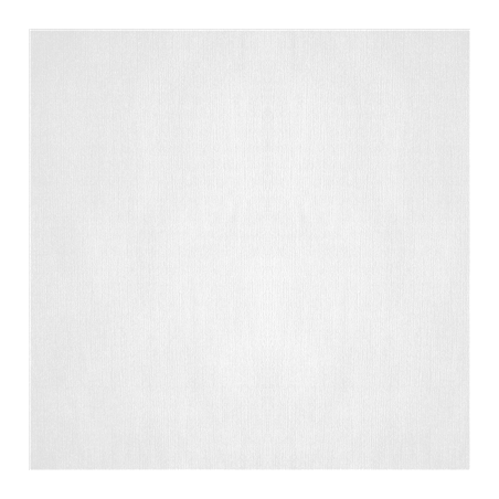 Image NAPPES PLIAGE M  48 G/M2 100x100 CM BLANC CELLULOSE (200 UNITÉ) #1