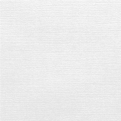 Image NAPPES PLIAGE M  48 G/M2 100x100 CM BLANC CELLULOSE (200 UNITÉ) #3