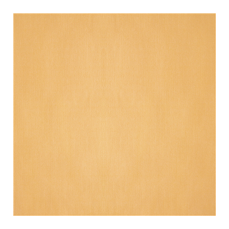 Image NAPPES PLIAGE M  48 G/M2 100x100 CM IVOIRE CELLULOSE (200 UNITÉ) #1