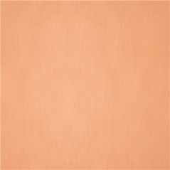 Image NAPPES PLIAGE M  48 G/M2 100x100 CM SAUMON CELLULOSE (200 UNITÉ) #1