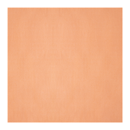 Image NAPPES PLIAGE M  48 G/M2 100x100 CM SAUMON CELLULOSE (200 UNITÉ) #1