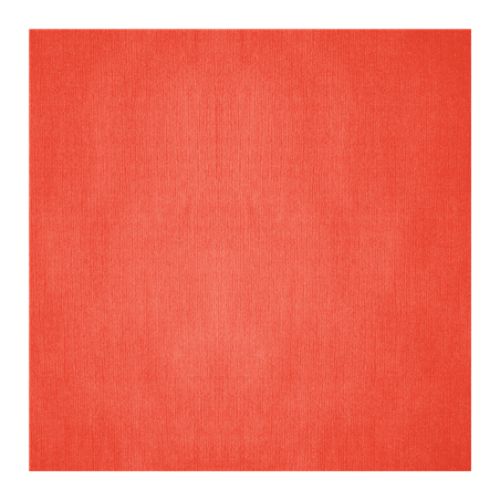 Image NAPPES PLIAGE M  48 G/M2 100x100 CM ROUGE CELLULOSE (200 UNITÉ) #1