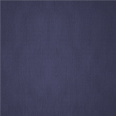 Image NAPPES PLIAGE M  48 G/M2 100x100 CM BLEU MARINE CELLULOSE (200 UNITÉ) #1