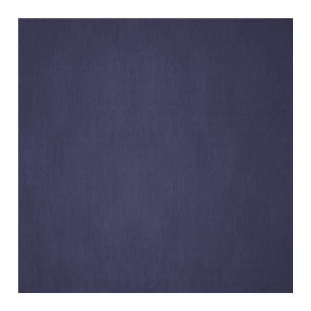 Image NAPPES PLIAGE M  48 G/M2 100x100 CM BLEU MARINE CELLULOSE (200 UNITÉ) #1