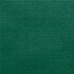 Image NAPPES PLIAGE M  48 G/M2 100x100 CM VERT JAGUAR CELLULOSE (200 UNITÉ) #3