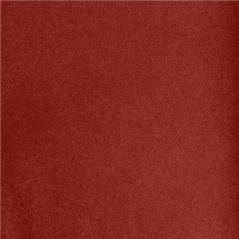 Image "TÊTE-À-TÊTE" PLIAGE 1/2  55 G/M2 40x120 CM BORDEAUX AIRLAID (400 UNITÉ) #3