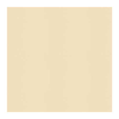 Image NAPPES PLIAGE Z 55 G/M2 80x80 CM IVOIRE AIRLAID (200 UNITÉ) #1