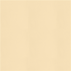 Image NAPPES PLIAGE Z  55 G/M2 100x100 CM IVOIRE AIRLAID (200 UNITÉ) #1